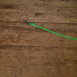 BioThane Leine 6mm rund neon grün