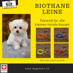 BioThane Leine 9mm neon orange extra dünn mit Nieten