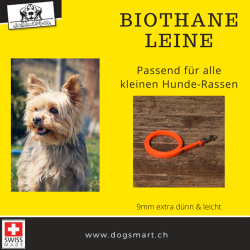 BioThane Leine 9mm neon orange extra dünn mit Nieten