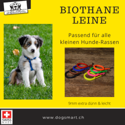 BioThane Leine 12mm blau extra dünn mit Nieten