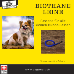 BioThane Leine 9mm blau extra dünn mit Nieten