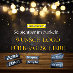 Wunsch-Logo Doxlock